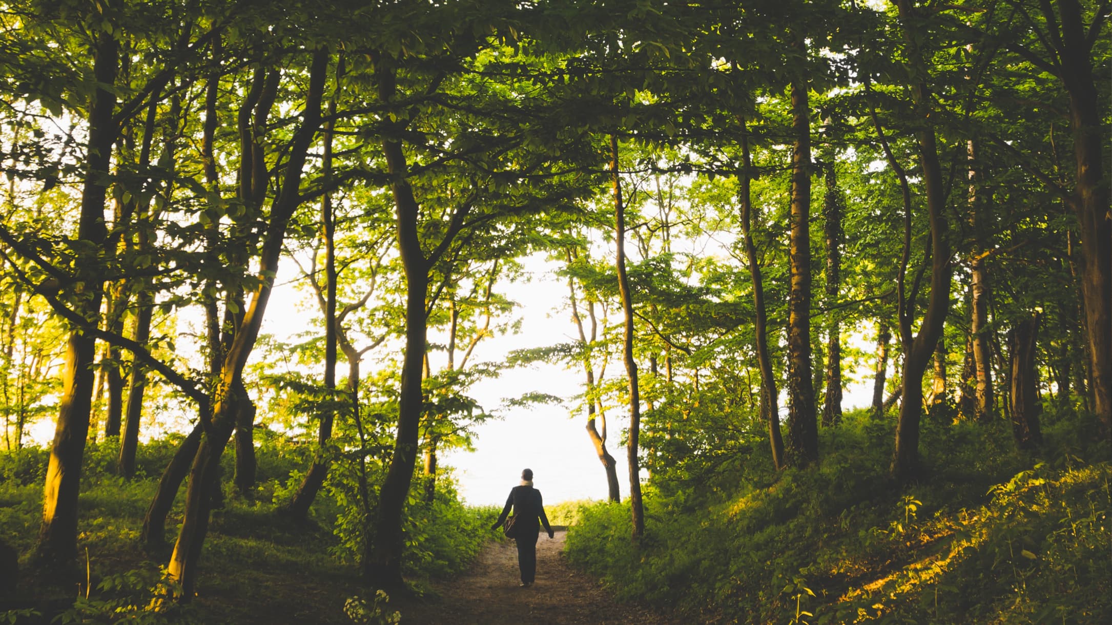 Forest Stewardship Council