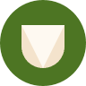 automatic SSL encryption icon