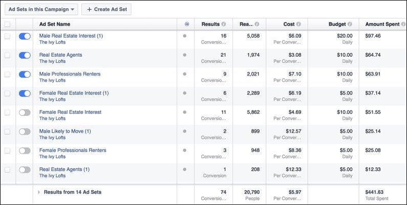Some of the Facebook Ads audiences Dan targeted