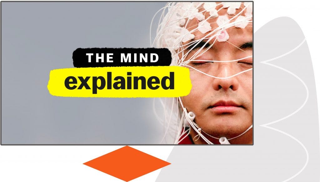Netflix show The mind explained