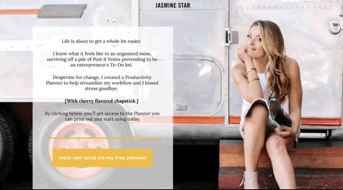 Landing page example lead magnet download